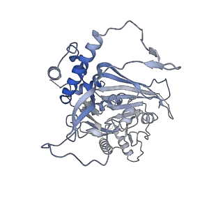 15555_8aox_BA_v1-0
CryoEM structure of the Chikungunya virus nsP1 capping pores in complex with SAM