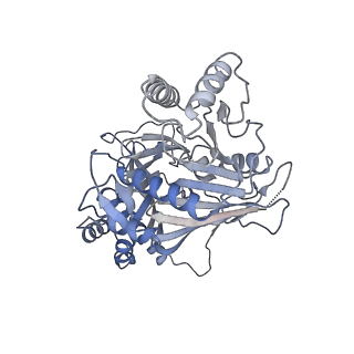 15555_8aox_C_v1-0
CryoEM structure of the Chikungunya virus nsP1 capping pores in complex with SAM
