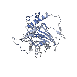 15555_8aox_DA_v1-0
CryoEM structure of the Chikungunya virus nsP1 capping pores in complex with SAM