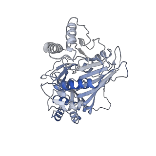 15555_8aox_E_v1-0
CryoEM structure of the Chikungunya virus nsP1 capping pores in complex with SAM