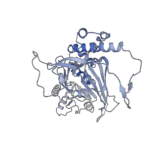 15555_8aox_FA_v1-0
CryoEM structure of the Chikungunya virus nsP1 capping pores in complex with SAM