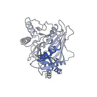 15555_8aox_G_v1-0
CryoEM structure of the Chikungunya virus nsP1 capping pores in complex with SAM