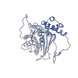 15555_8aox_HA_v1-0
CryoEM structure of the Chikungunya virus nsP1 capping pores in complex with SAM
