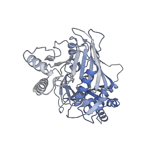 15555_8aox_I_v1-0
CryoEM structure of the Chikungunya virus nsP1 capping pores in complex with SAM