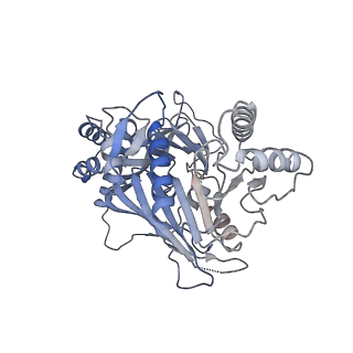 15555_8aox_JA_v1-0
CryoEM structure of the Chikungunya virus nsP1 capping pores in complex with SAM