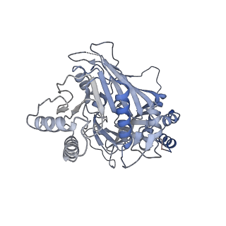 15555_8aox_K_v1-0
CryoEM structure of the Chikungunya virus nsP1 capping pores in complex with SAM