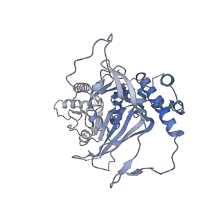 15555_8aox_LA_v1-0
CryoEM structure of the Chikungunya virus nsP1 capping pores in complex with SAM