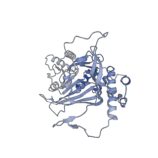 15555_8aox_NA_v1-0
CryoEM structure of the Chikungunya virus nsP1 capping pores in complex with SAM