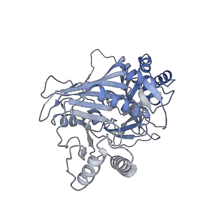 15555_8aox_O_v1-0
CryoEM structure of the Chikungunya virus nsP1 capping pores in complex with SAM