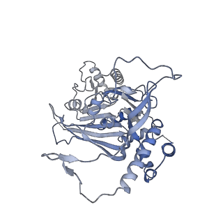 15555_8aox_PA_v1-0
CryoEM structure of the Chikungunya virus nsP1 capping pores in complex with SAM