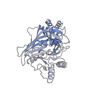 15555_8aox_Q_v1-0
CryoEM structure of the Chikungunya virus nsP1 capping pores in complex with SAM