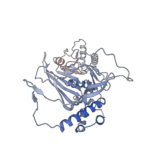 15555_8aox_RA_v1-0
CryoEM structure of the Chikungunya virus nsP1 capping pores in complex with SAM