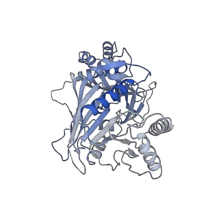 15555_8aox_S_v1-0
CryoEM structure of the Chikungunya virus nsP1 capping pores in complex with SAM