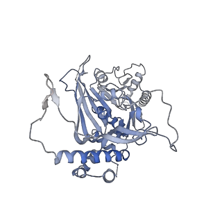 15555_8aox_TA_v1-0
CryoEM structure of the Chikungunya virus nsP1 capping pores in complex with SAM