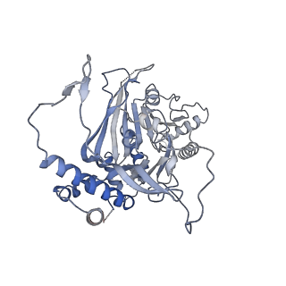 15555_8aox_VA_v1-0
CryoEM structure of the Chikungunya virus nsP1 capping pores in complex with SAM