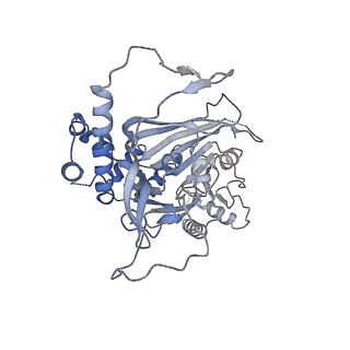 15555_8aox_Z_v1-0
CryoEM structure of the Chikungunya virus nsP1 capping pores in complex with SAM