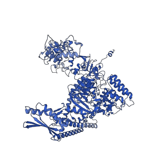 11850_7ap8_A_v1-2
Atomic structure of the poxvirus initially transcribing complex in conformation 2