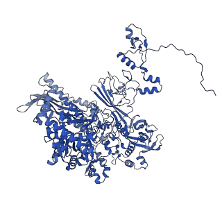 11850_7ap8_B_v1-2
Atomic structure of the poxvirus initially transcribing complex in conformation 2