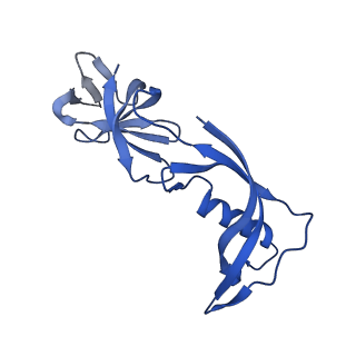 11850_7ap8_G_v1-2
Atomic structure of the poxvirus initially transcribing complex in conformation 2