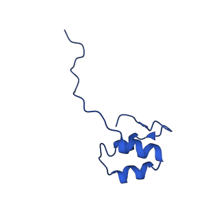 11850_7ap8_J_v1-2
Atomic structure of the poxvirus initially transcribing complex in conformation 2