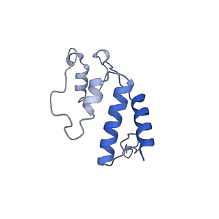 11850_7ap8_S_v1-2
Atomic structure of the poxvirus initially transcribing complex in conformation 2