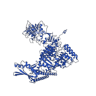 11851_7ap9_A_v1-2
Atomic structure of the poxvirus initially transcribing complex in conformation 3