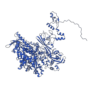 11851_7ap9_B_v1-2
Atomic structure of the poxvirus initially transcribing complex in conformation 3