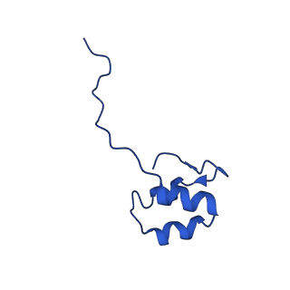 11851_7ap9_J_v1-2
Atomic structure of the poxvirus initially transcribing complex in conformation 3