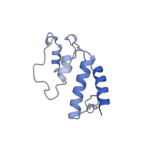 11851_7ap9_S_v1-2
Atomic structure of the poxvirus initially transcribing complex in conformation 3
