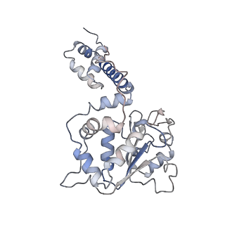 11852_7apd_A_v1-0
Bovine Papillomavirus E1 DNA helicase-replication fork complex