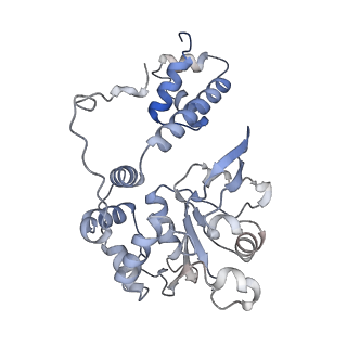 11852_7apd_B_v1-0
Bovine Papillomavirus E1 DNA helicase-replication fork complex