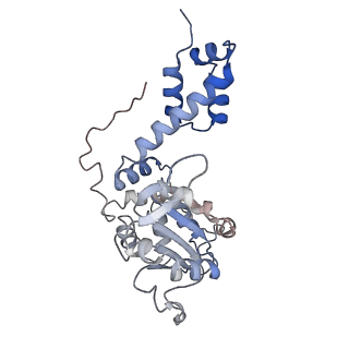 11852_7apd_C_v1-0
Bovine Papillomavirus E1 DNA helicase-replication fork complex