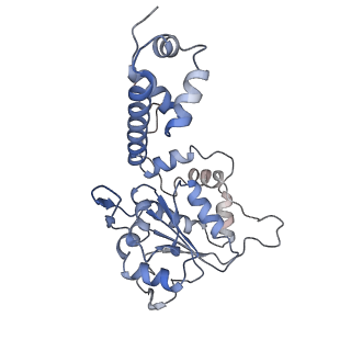 11852_7apd_D_v1-0
Bovine Papillomavirus E1 DNA helicase-replication fork complex