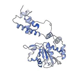 11852_7apd_E_v1-0
Bovine Papillomavirus E1 DNA helicase-replication fork complex
