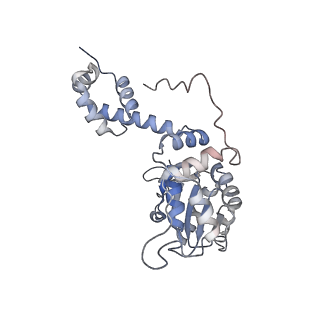 11852_7apd_F_v1-0
Bovine Papillomavirus E1 DNA helicase-replication fork complex