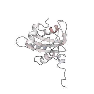 11852_7apd_G_v1-0
Bovine Papillomavirus E1 DNA helicase-replication fork complex