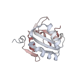11852_7apd_H_v1-0
Bovine Papillomavirus E1 DNA helicase-replication fork complex