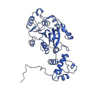 15556_8ap1_B_v1-4
Cryo-EM structure of yeast mitochondrial RNA polymerase transcription initiation complex with two GTP molecules poised for de novo initiation (IC2)