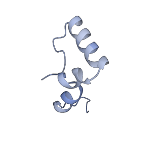 15558_8ap4_1_v1-2
Structure of Escherischia coli heat shock protein Hsp15 in complex with ribosomal 50S subunits bearing peptidyl-tRNA