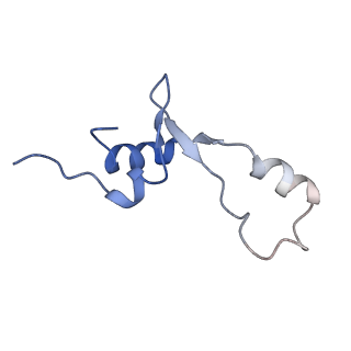 15558_8ap4_2_v1-2
Structure of Escherischia coli heat shock protein Hsp15 in complex with ribosomal 50S subunits bearing peptidyl-tRNA