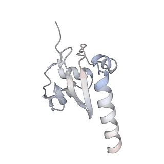 15558_8ap4_A_v1-2
Structure of Escherischia coli heat shock protein Hsp15 in complex with ribosomal 50S subunits bearing peptidyl-tRNA