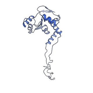 15558_8ap4_e_v1-2
Structure of Escherischia coli heat shock protein Hsp15 in complex with ribosomal 50S subunits bearing peptidyl-tRNA