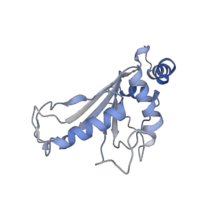 15558_8ap4_f_v1-2
Structure of Escherischia coli heat shock protein Hsp15 in complex with ribosomal 50S subunits bearing peptidyl-tRNA