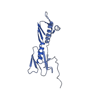 15558_8ap4_g_v1-2
Structure of Escherischia coli heat shock protein Hsp15 in complex with ribosomal 50S subunits bearing peptidyl-tRNA