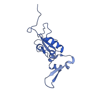 15558_8ap4_i_v1-2
Structure of Escherischia coli heat shock protein Hsp15 in complex with ribosomal 50S subunits bearing peptidyl-tRNA