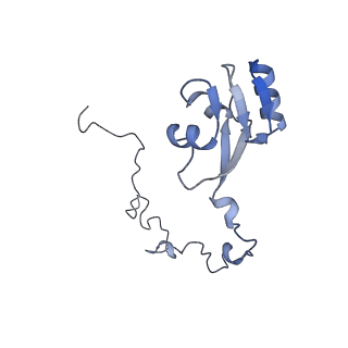 15558_8ap4_k_v1-2
Structure of Escherischia coli heat shock protein Hsp15 in complex with ribosomal 50S subunits bearing peptidyl-tRNA