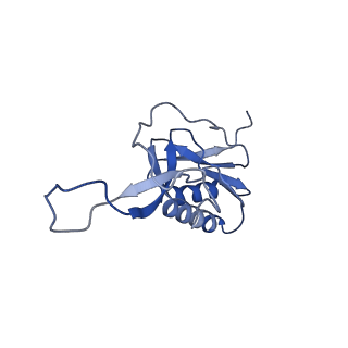 15558_8ap4_l_v1-2
Structure of Escherischia coli heat shock protein Hsp15 in complex with ribosomal 50S subunits bearing peptidyl-tRNA
