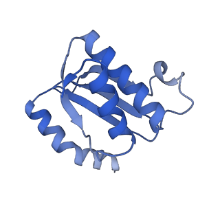 15558_8ap4_n_v1-2
Structure of Escherischia coli heat shock protein Hsp15 in complex with ribosomal 50S subunits bearing peptidyl-tRNA