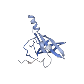 15558_8ap4_o_v1-2
Structure of Escherischia coli heat shock protein Hsp15 in complex with ribosomal 50S subunits bearing peptidyl-tRNA