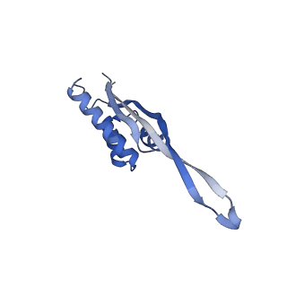 15558_8ap4_r_v1-2
Structure of Escherischia coli heat shock protein Hsp15 in complex with ribosomal 50S subunits bearing peptidyl-tRNA